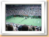 16 Australian Open.jpg